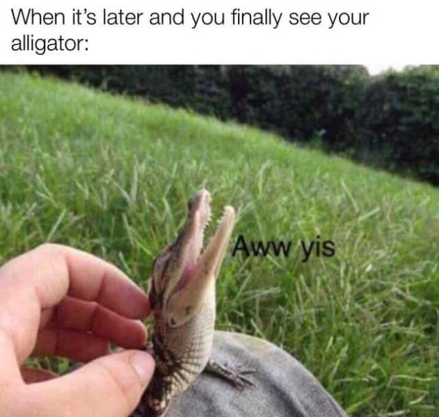 Memes Full Of Wholesomeness (40 pics)