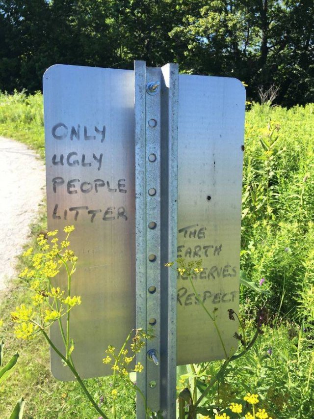 Polite Graffiti (30 pics)