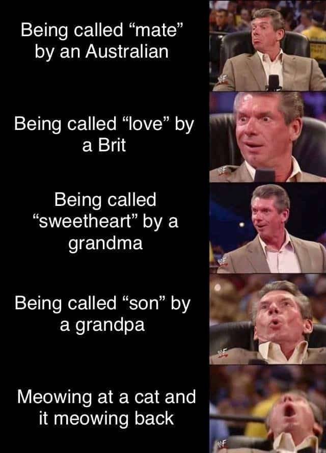 Memes Full Of Wholesomeness (40 pics)