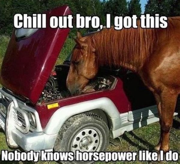 Car Memes (29 pics)