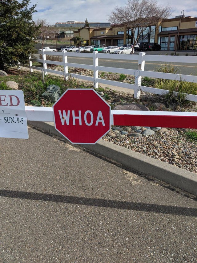 Acid Picdump. Part 2 (92 pics)