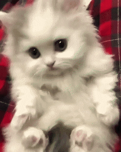 Acid Gifdump, January 30 (25 gifs)