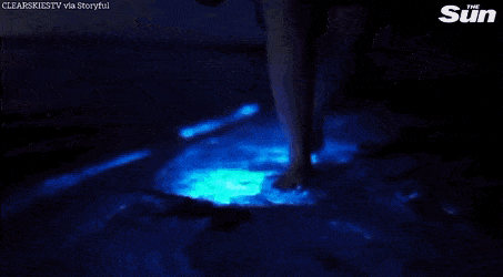 Acid Gifdump, January 30 (25 gifs)