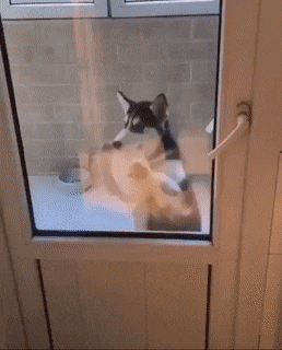 Acid Gifdump, January 30 (25 gifs)