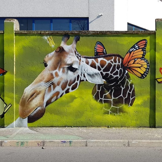 Amazing Graffiti (35 pics)