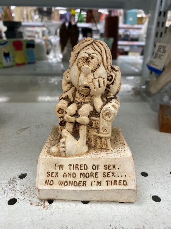 Thrift Shop Treasures (42 pics)