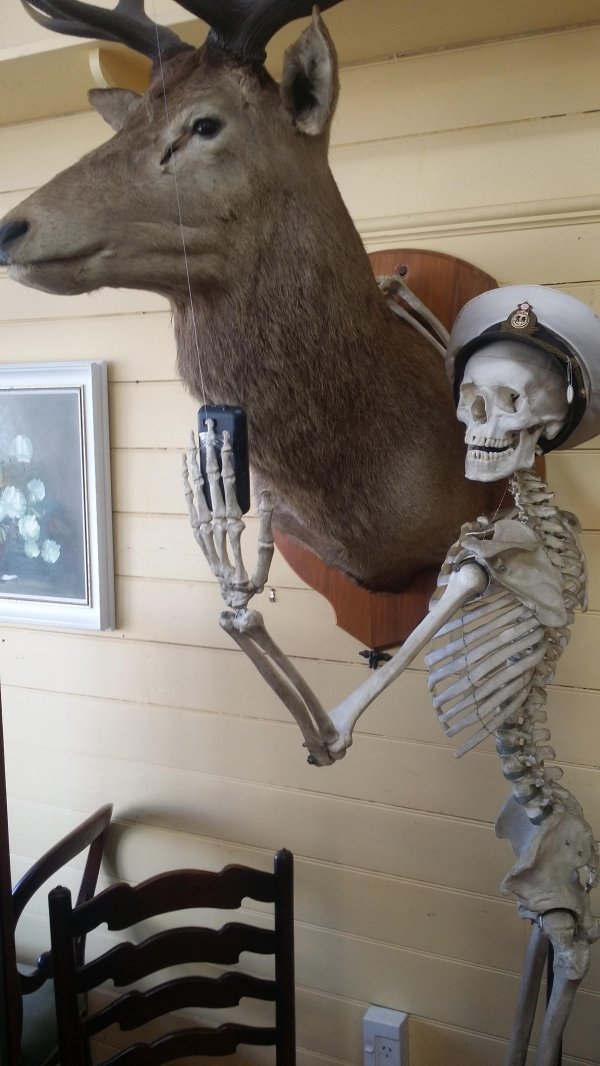 Thrift Shop Treasures (42 pics)