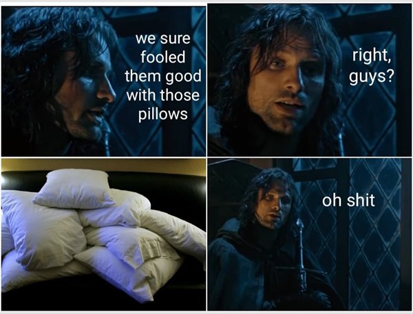 LOTR Memes (28 pics)