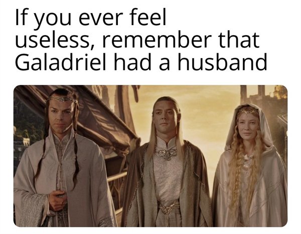 LOTR Memes (28 pics)