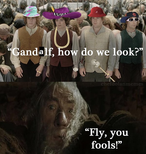 LOTR Memes (28 pics)