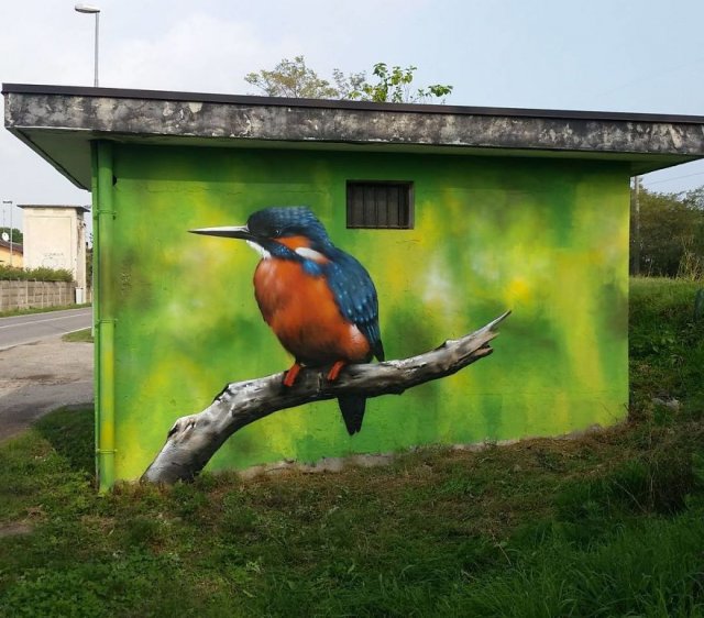 Amazing Graffiti (35 pics)