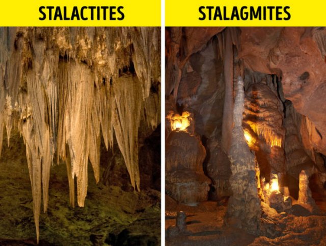 Here Is A Difference (19 pics)
