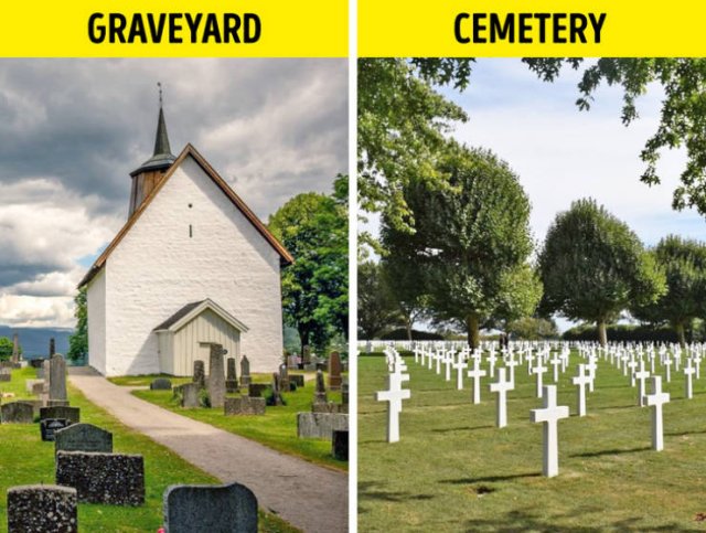 Here Is A Difference (19 pics)