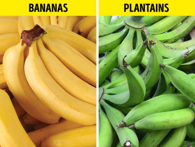 Here Is A Difference (19 pics)