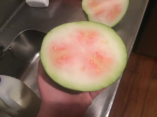 Food Fails (35 pics)