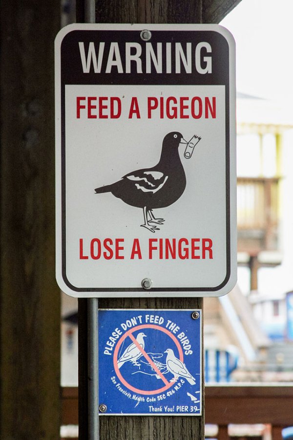 Smart Signs (35 pics)