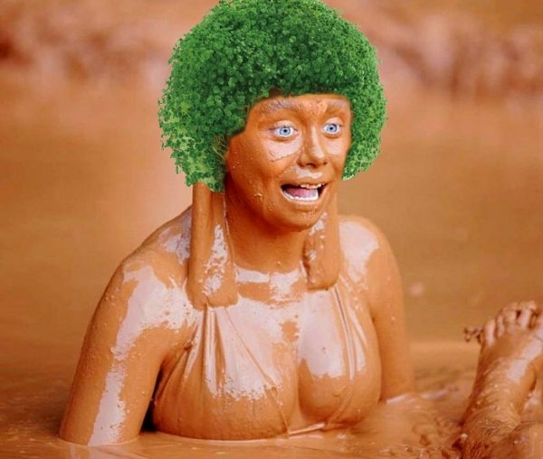 Photoshop Battle: Mud Girl (20 pics)