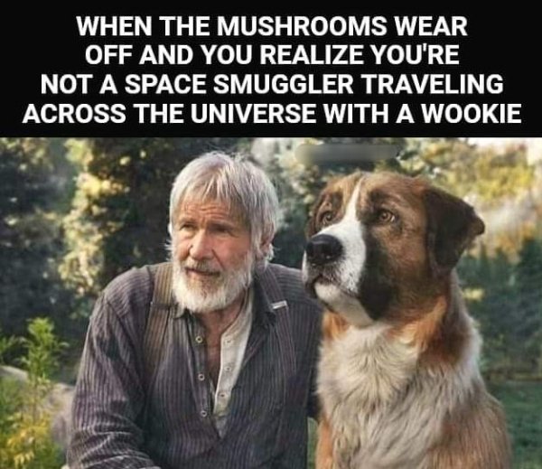 Wasted Memes (28 pics)