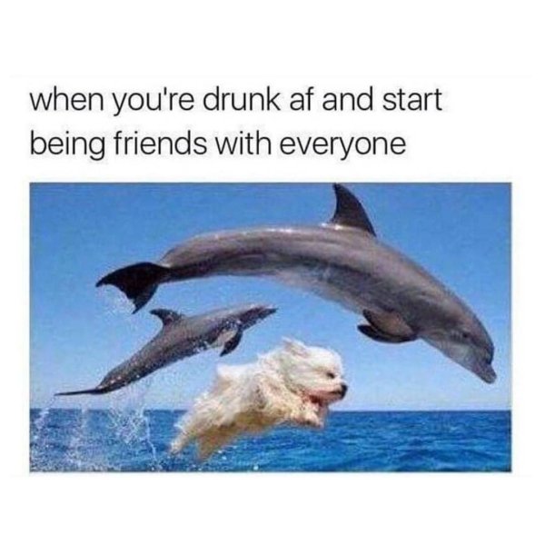Wasted Memes (28 pics)