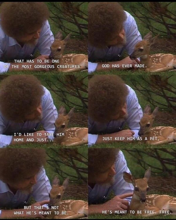 Pictures Full Of Wholesomness (25 pics)