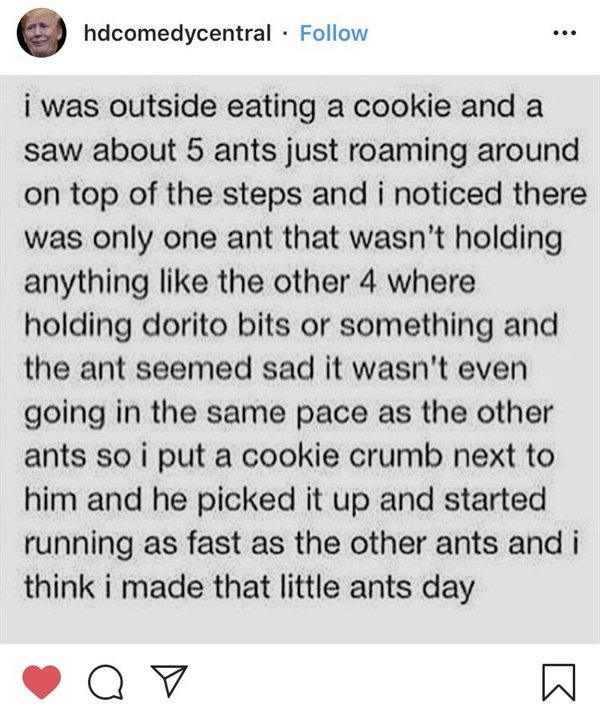 Pictures Full Of Wholesomness (25 pics)
