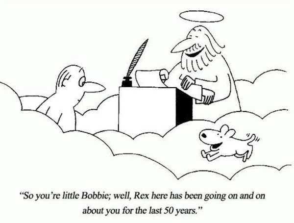 Pictures Full Of Wholesomness (25 pics)