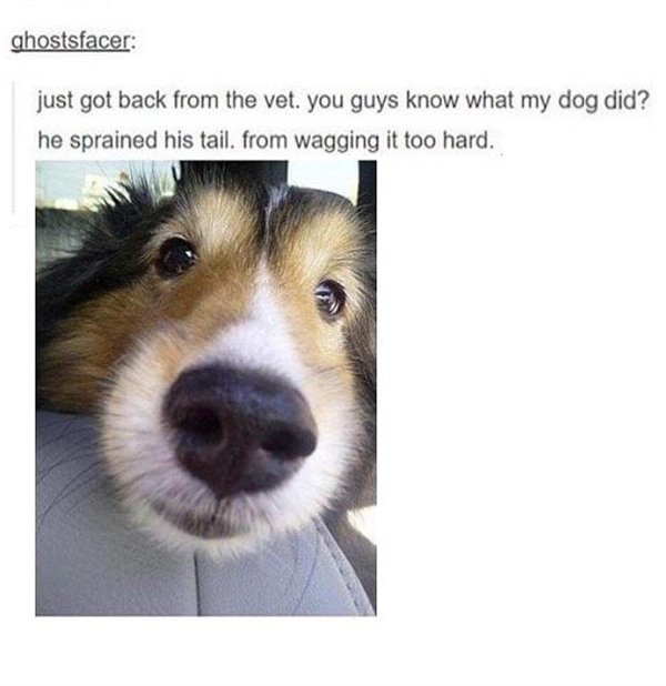 Pictures Full Of Wholesomness (25 pics)