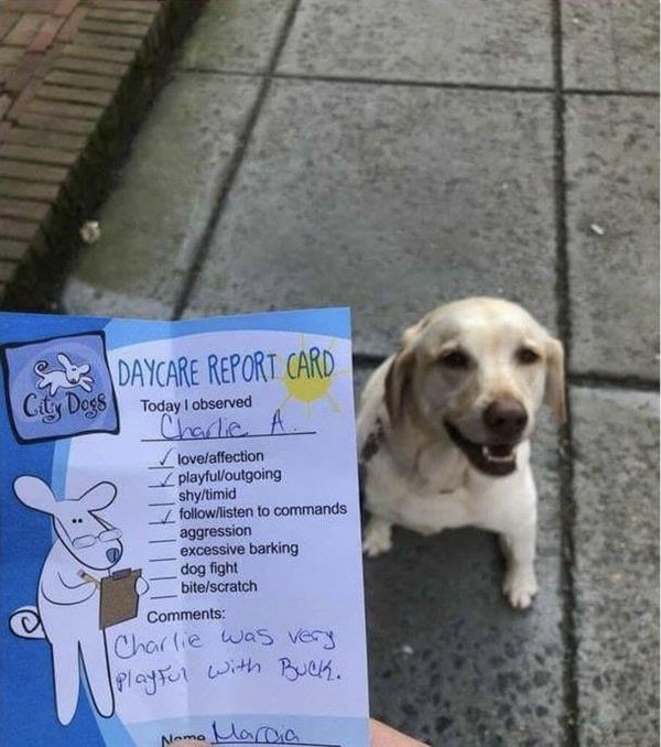 Pictures Full Of Wholesomness (25 pics)