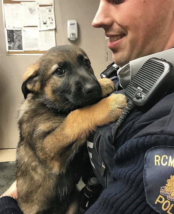 Pictures Full Of Wholesomness (25 pics)