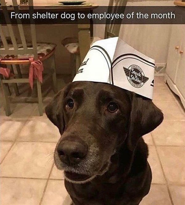 Pictures Full Of Wholesomness (25 pics)