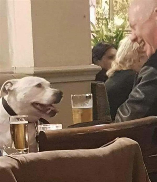 Pictures Full Of Wholesomness (25 pics)