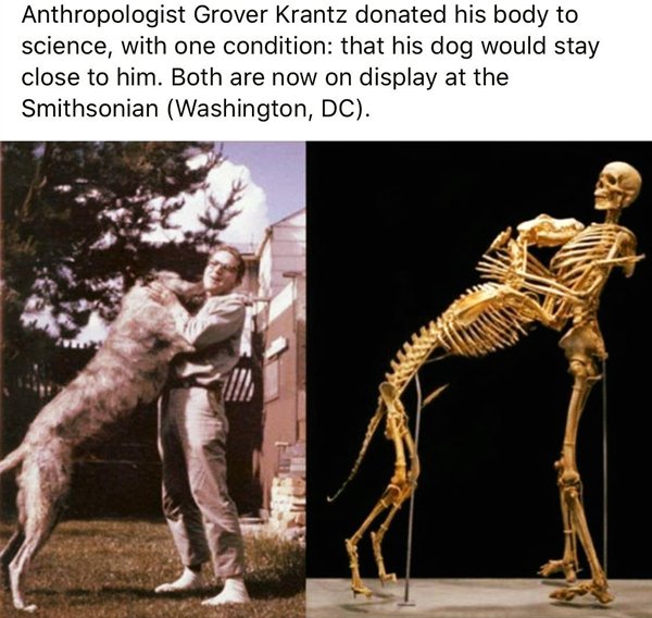 Pictures Full Of Wholesomness (25 pics)