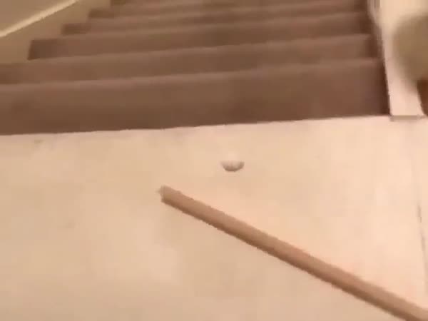He Has Too Much Time