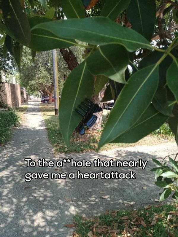 This Is Driving Everyone Crazy (54 pics)