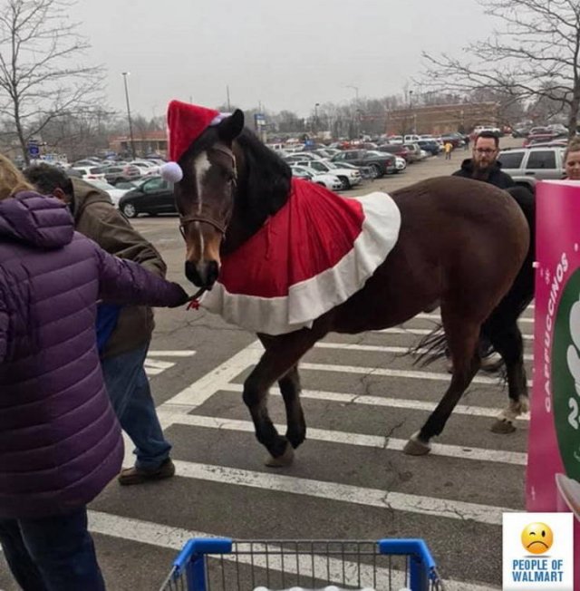 People Of Walmart (42 pics)
