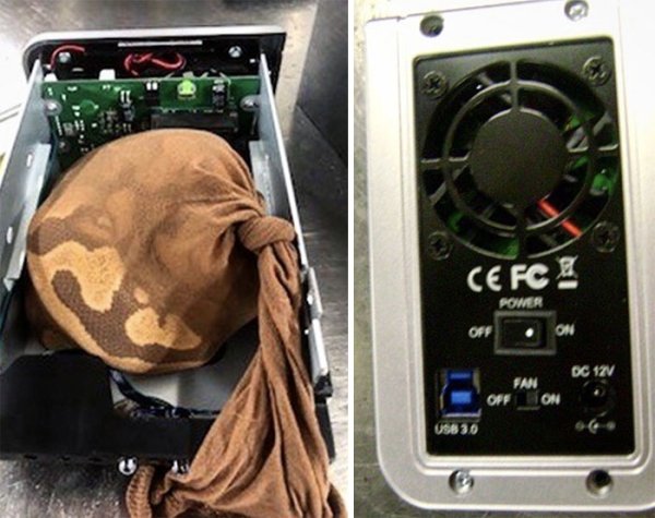 What TSA Confiscated From Passengers (26 pics)