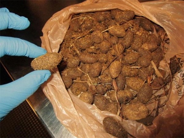 What TSA Confiscated From Passengers (26 pics)