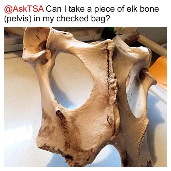 What TSA Confiscated From Passengers (26 pics)