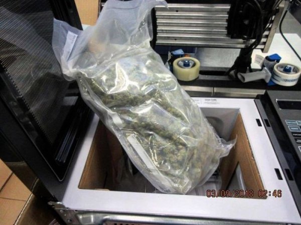 What TSA Confiscated From Passengers (26 pics)