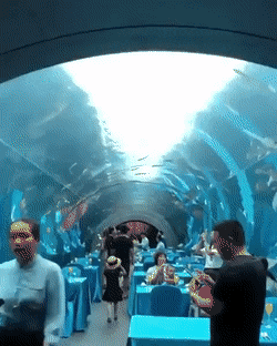 Acid Gifdump, February 4 (25 gifs)