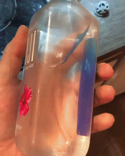 Acid Gifdump, February 4 (25 gifs)