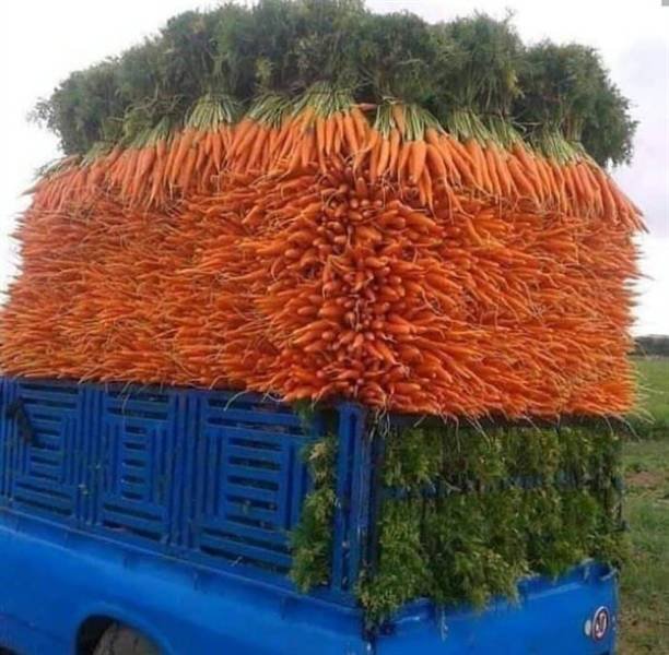 Perfection Is Possible (27 pics)