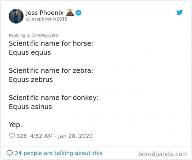 Random Facts (45 pics)
