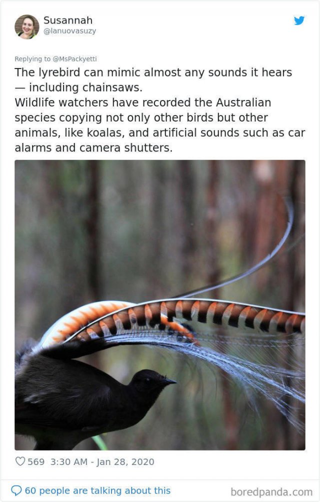 Random Facts (45 pics)