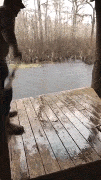 Fails Happen (13 gifs)