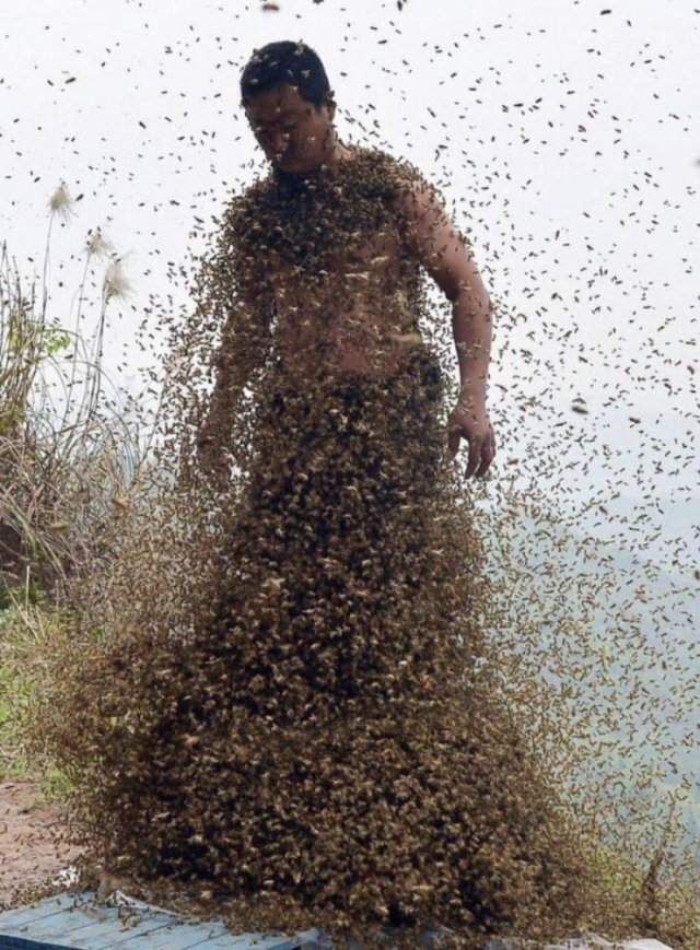 Acid Picdump. Part 1 (91 pics)