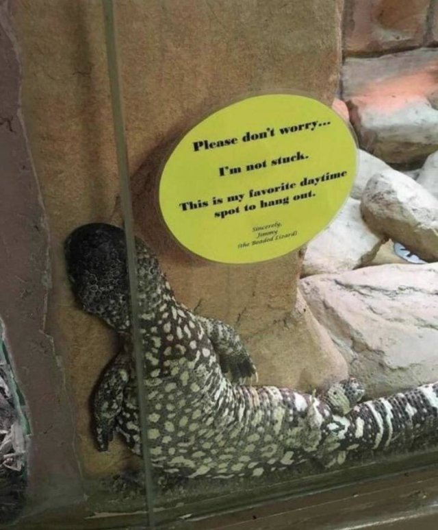 Acid Picdump. Part 2 (91 pics)
