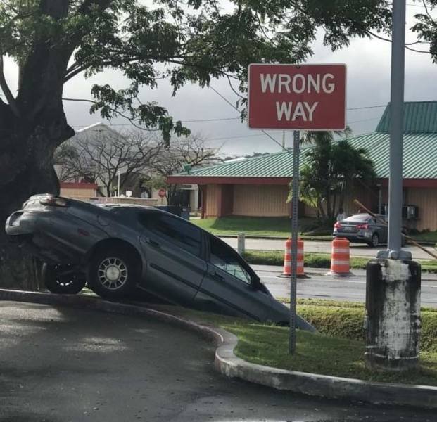 Acid Picdump. Part 2 (91 pics)