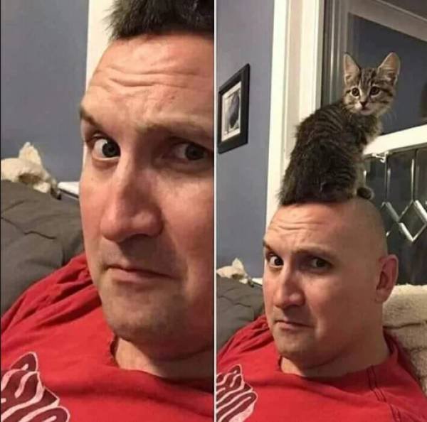 Acid Picdump. Part 2 (91 pics)