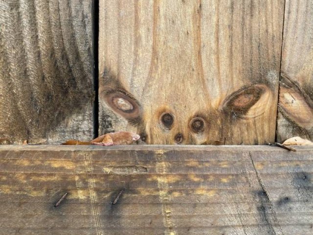 Acid Picdump. Part 1 (91 pics)